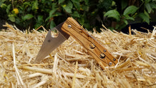 Load image into Gallery viewer, Spalted Maple Scales