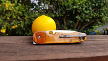 Load image into Gallery viewer, Spyderco Smock Custom Wood Scales
