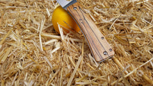 Load and play video in Gallery viewer, Limited Release: Fall 2020 Series Spyderco Watu Spalted Maple Scales