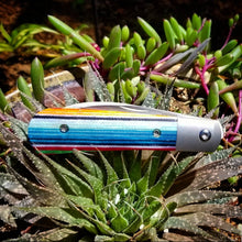 Load image into Gallery viewer, Peña Swayback Front Flipper With Mexican Blanket Especial G-Carta