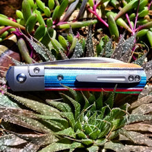 Load image into Gallery viewer, Peña Swayback Front Flipper With Mexican Blanket Especial G-Carta