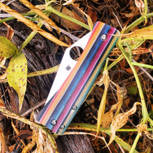 Load image into Gallery viewer, Spyderco Watu Scale Set
