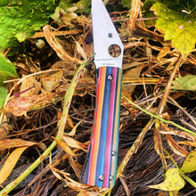 Load image into Gallery viewer, Spyderco Watu Scale Set
